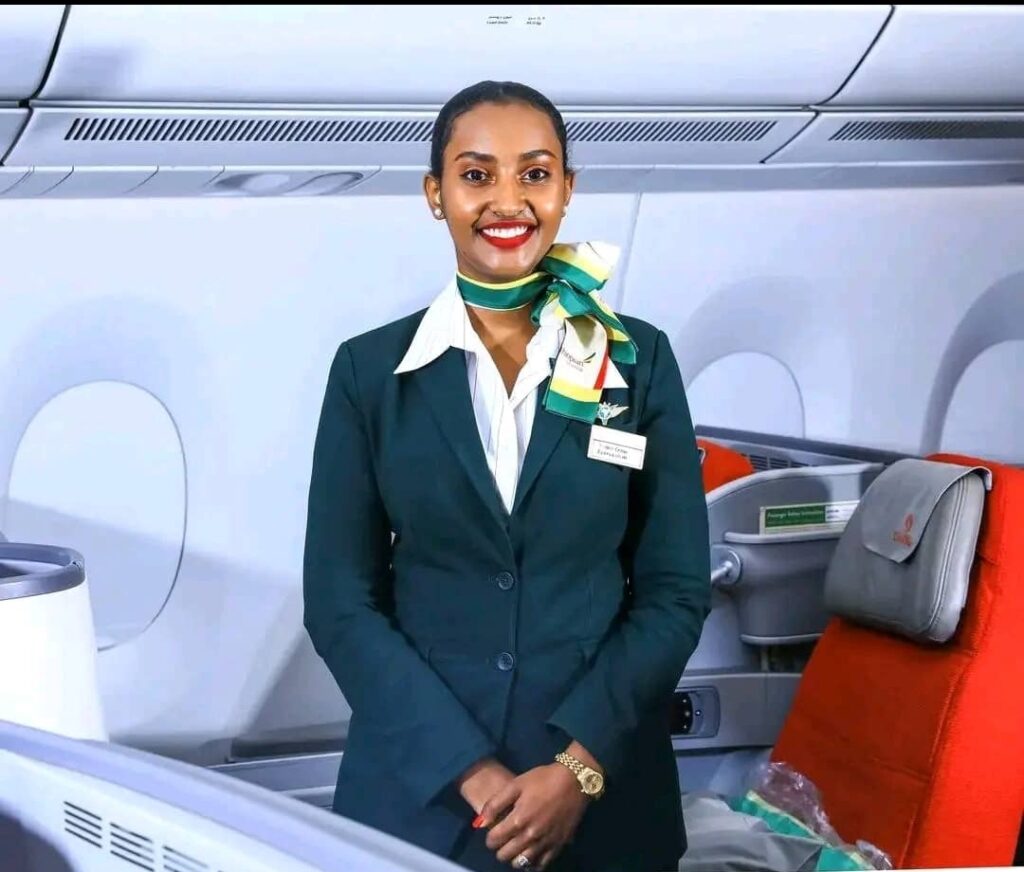 flight attendant image